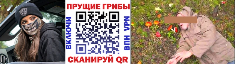МЕГА как зайти  купить  сайты  Краснослободск  Псилоцибиновые грибы мухоморы 